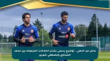 عاجل من الأهلي.. توضيح رسمي بشأن الخلافات المزعومة بين محمد الشناوي ومصطفى شوبير